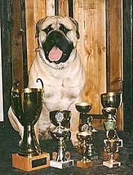PITMAN'S BRUNO