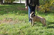 IMG_1436.jpg