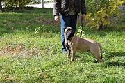 IMG_1437.jpg