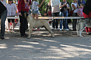 Izobrazhenie-057.jpg