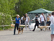 P1090110.JPG