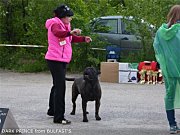 b31175d5dc73.jpg