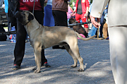 Izobrazhenie-010.jpg