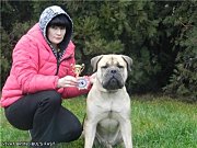 Vivat Bruno Bul'S Fast, Vlastelina Santa from BULFAST'S and Vanessa Blondy