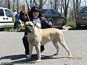 d9dc0585e07e.jpg1.jpg