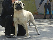 DSCN3107.JPG