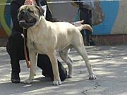 DSCN3112.JPG