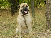 DSCN3118.JPG