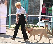 Две выставки 29.04.2012 г. в Волгограде и Астрахани