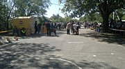Regional Dog Show CAC, Volgograd, 14.09.2014, the expert Oganova N.Y. (Moscow) 