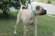 Izobrazhenie-104.jpg