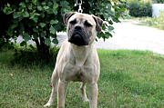 Izobrazhenie-118.jpg