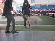Выставка 19.02.2012 
