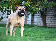 0_edd19_9639e8b2_orig.jpg