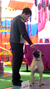 Выставка 18.03.2012 