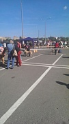 IMAG0691.jpg