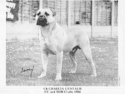 GRAECIA CENTAUR
