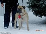 echo_pic-10.jpg