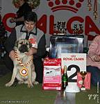 echo_pic-4.jpg