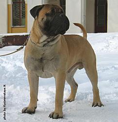 IMG_1831копи.jpg