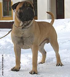 IMG_1832-копи.jpg