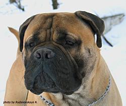 IMG_1853-копи.jpg