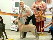 Две региональные выставки 13.05.2012 г. в Волгограде и Астрахани