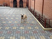 IMG_0069.jpg