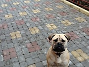 IMG_0071.jpg