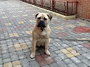 IMG_0074.jpg