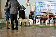 Всероссийская выставка 
