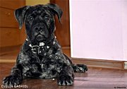 7f9394a6f656.jpg