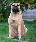 Jantal Bruno from BULFAST